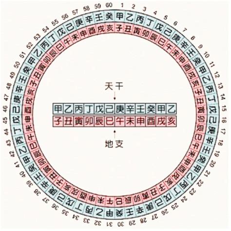 1995年天干地支|干支纪年对照表，天干地支年份对照表